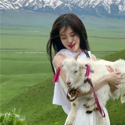 黑之契约者2:流星的双子
